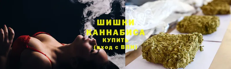 купить   Бирюч  Бошки Шишки THC 21% 